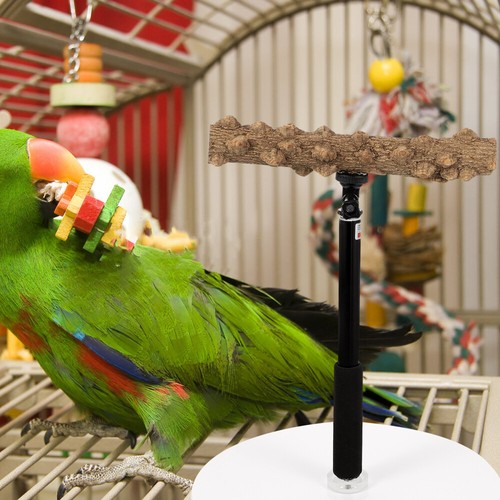 Adjustable Height Perch Frame Fitness Parrot Stand Playstand Bird Training - Picture 9 of 12
