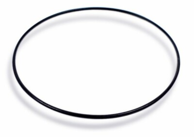Casio Dichtung O-Ring schwarz EF-342 EFB-101 EFB-504 EFX-510 WVA-220