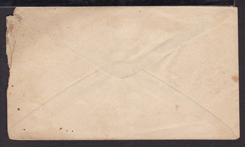 UNITED STATES c1900 "THE TREE of LIBERTY" Postal Stationery COVER (L544) - Picture 2 of 2