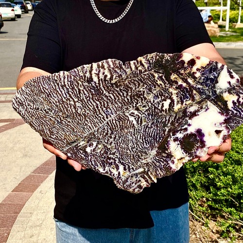 5.76LB Natural agate, zebra stone, crystal mineral, cut and polished in flakes - 第 4/12 張圖片