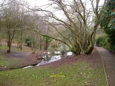 Photo 6x4 Ponds on the Taddiforde Brook Exeter A reverse view of [[[37835 c2006