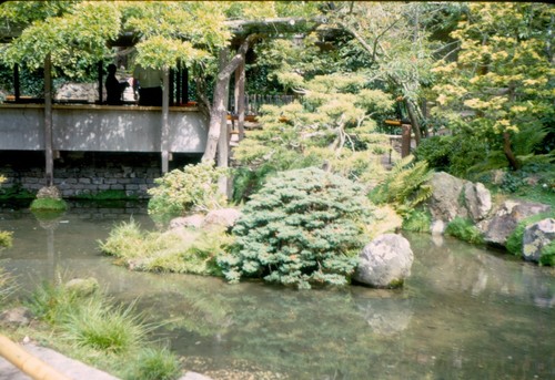 28 vtg 35mm slides 1968 San Francisco California conservatory gardens seal rock - Picture 16 of 24