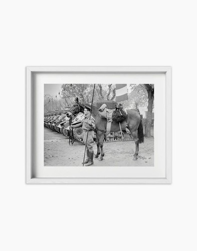 Poster Il cavallo Albino, reggimento Gorizia Stampa fotografica fine art - Picture 3 of 6