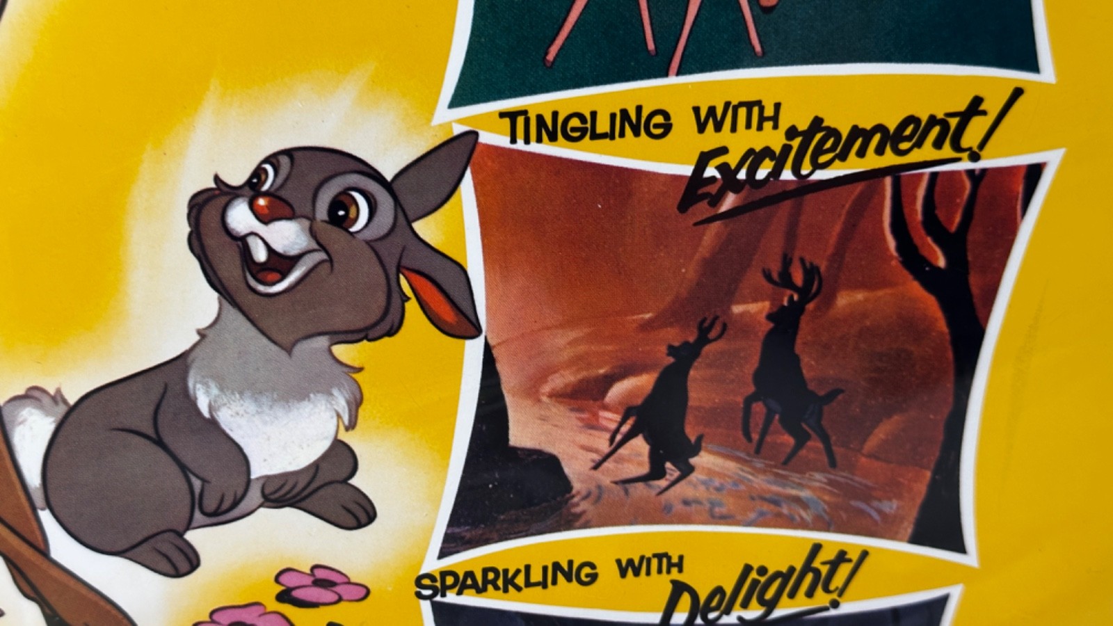 Disney's "Bambi" Movie Theater Re-Release-Title Card Unused Mint from-1966