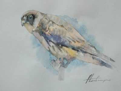 Kestrel, Birds, Watercolor artwork, Handmade, Original painting on paper