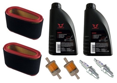 Zündkerze + Filter + Öl SAE30 für TRE 0701 0702 0801 GGP 7250 7750 7500 Motor