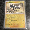 Blitzle Reverse Holo - 062/191 - Surging Sparks Pokemon 2024