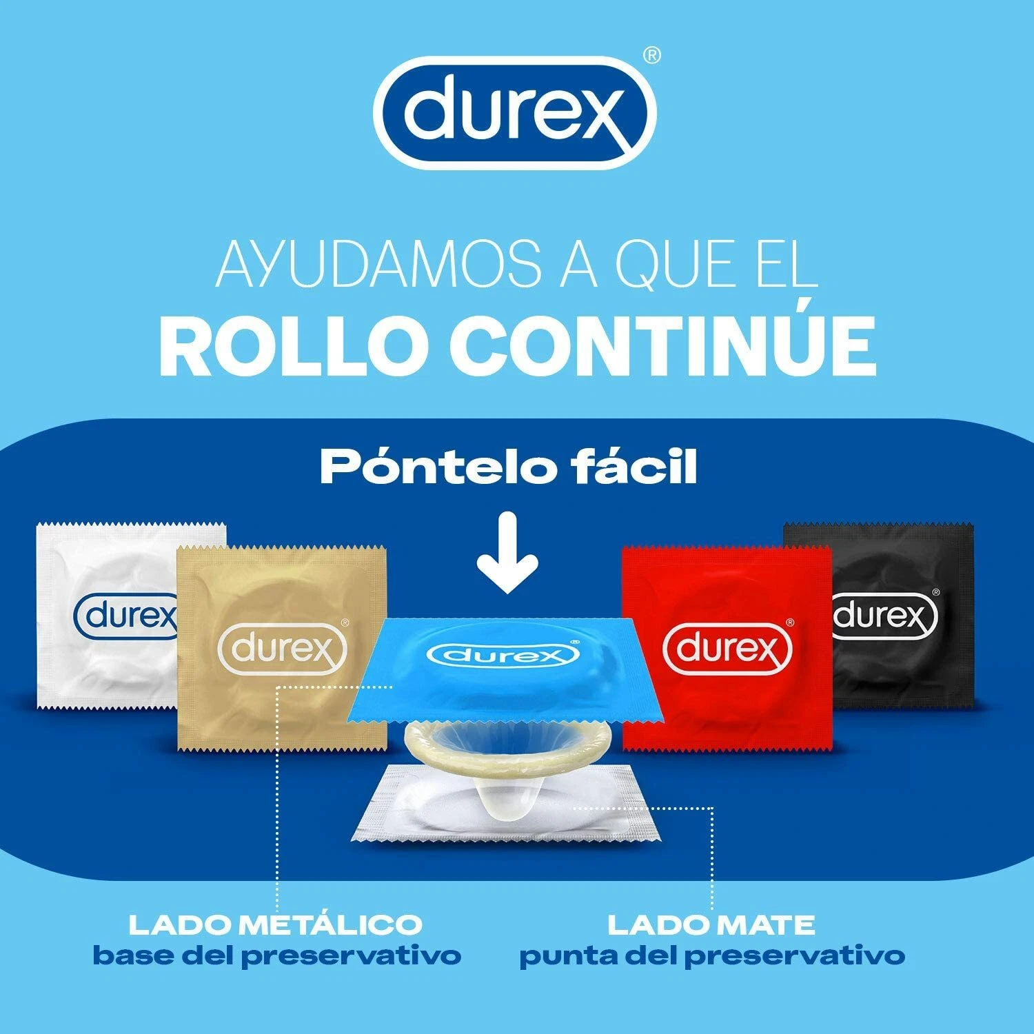 Imagen 10 de 10