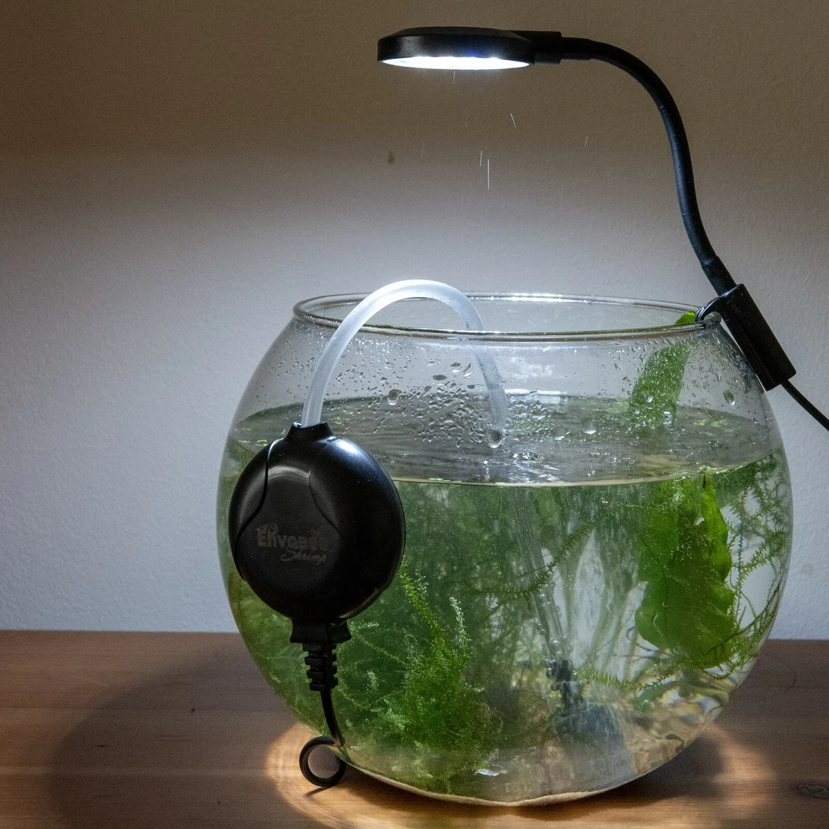 Fish bowl air clearance pump