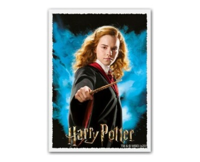 Dragon Shields Harry Potter: Hermione Granger Matte Art Standard Sleeves