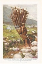 AFGHANISTAN WOOD GATHER WOMAN c 1926 ILLUSTRATION PRINT