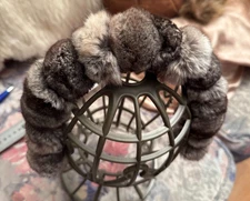 New Genuine Grecian Chinchilla Fur Headband