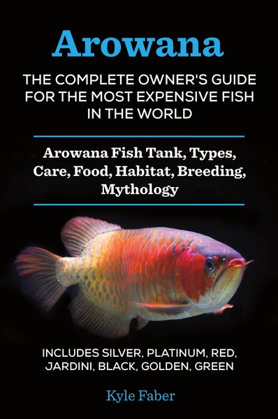 Kyle Faber | Arowana | Taschenbuch | Englisch (2017) | Kartoniert / Broschiert-image