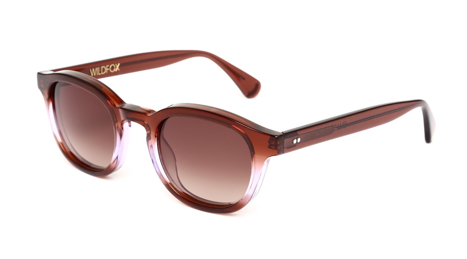 Wildfox Smart Fox Women's Brown Square Sunglasses R2169