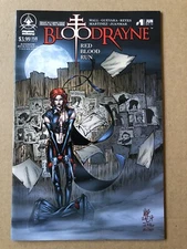 BloodRayne Red Blood Run #1 (2010) Cover B Digital Webbing Low Print Run - VF/NM