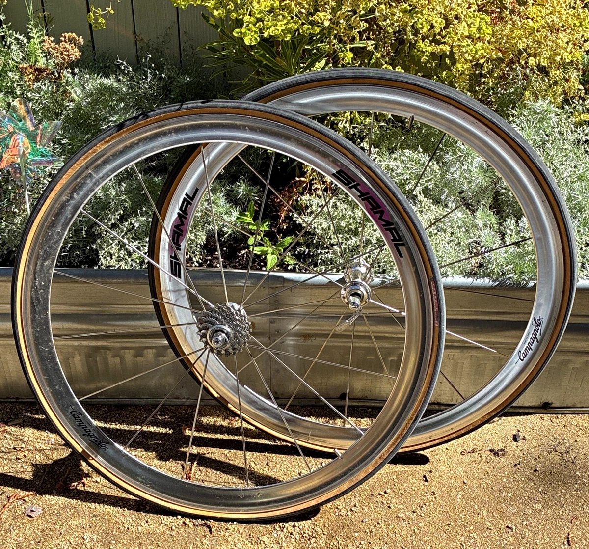 Campagnolo Shamal for sale | eBay