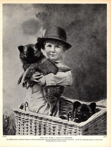 1930s Vintage Keeshond Print Master Gatacre and Keeshond Puppies Print 5030d