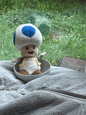 Toad in a bowl modern art designed and crafted by experts