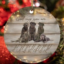 God Say You Are Neapolitan Mastiff Dog Christmas Ornament Christian Gift Decor