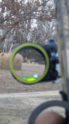 Bowtech Assassin