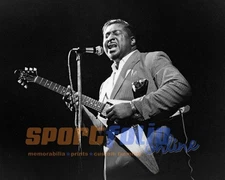 Blues Soul Singer ALBERT KING Glossy 8x10 Photo Music Guitarist Print Poster