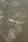 Baccarat Crystal Clear Four Leaf Clover Good Luck Paperweight — photo 5