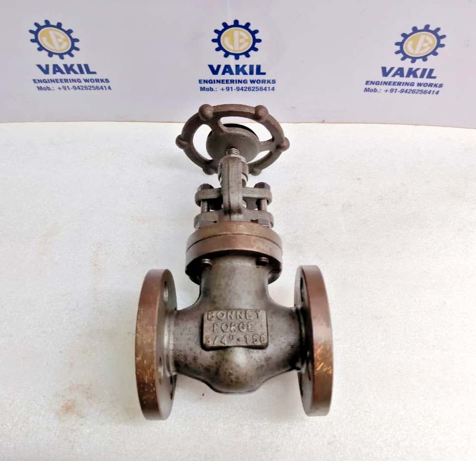 VÁLVULA GLOBO BONNY FORGE TALLA 3/4 CLASE 150 - Imagen 4 de 4