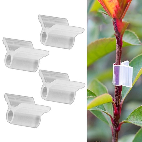 Pince à lier droitière pour attacher et fixer les plantes . Fabrication