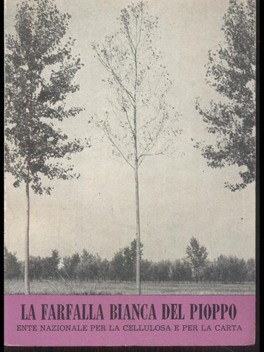 DER WEISSE SCHMETTERLING DER PAPPEL AA VV BROSCHURA