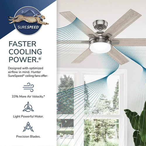 Hunter 52 Georgetown ENERGY STAR Ceiling Fan W/ LED Light, Remote - Contemporary - Picture 18 of 24