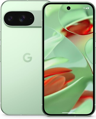 Google Pixel 9 128GB Smartphon Dual Sim Wintergreen Grün - NEU & VERSIEGELT