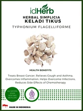 [idHerb] 50-400 Gram Dried Rodent Tuber Typhonium Flagelliforme WildCrafted