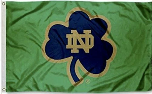 Notre Dame BANDERA 3X5 Lucha Fútbol Irlandés Nuevo EE. UU. Hombre Cueva Banderas Puerta Trasera Foto 3 de 4
