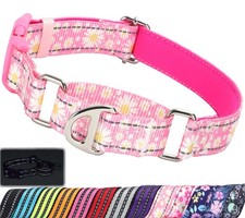 MAOWUWUJOZ Martingale Collar for Dogs,Daisy No Slip M Neck 14"-17.5" , 1
