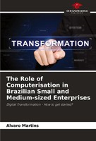 The Role Of Computerisation In Brazilian Small And Medium-Sized Enterprises Buch