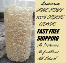 BULK PRICE FREE SHIP USA Organic Loofah Luffa Sponge Facial Skin Care Exfoliator