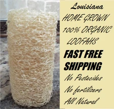 BULK PRICE FREE SHIP USA Organic Loofah Luffa Sponge Facial Skin Care Exfoliator
