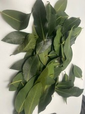 Organic Bay Leaves, Lauus Nobilis, Feuilles Laurier, Hojas de Laurel, 100 Gram