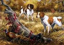 BRITTANY SPANIEL TWO DOGS & PHEASANT IN WOODS GREETINGS NOTE CARD