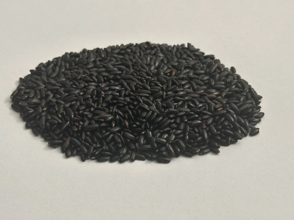 Aceite de arroz negro PROHIBIDO (FÓRMULA DE ABSORCIÓN RÁPIDA) - 4 oz Foto 3 de 3