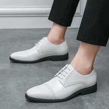 Men's Party Dress Casual Outdoor Shoes Pointed Toe Lace Up Faux Leather Oxfords