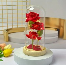 Light Up Flower Red Rose in Glass Dome Gifts For Her Birthday Gift For Women