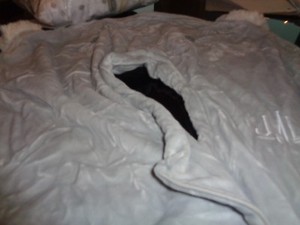 pottery barn kids boppy