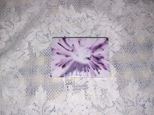 Fruit Loops Type scented bar soap, choice of soap type, FREE ship, goats milk