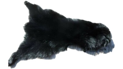 Ifs Abert's premium squirrel skins jet black - dubbing, zonkers, minikies