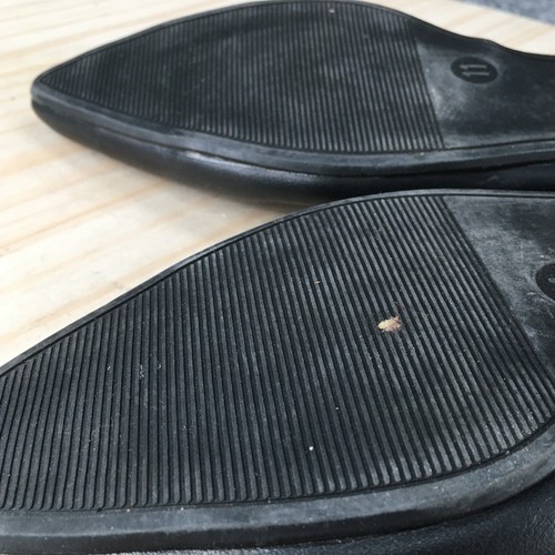 A New Day Shoes Womens 11 Dorsay Slip On Flats 17730 Black Faux Leather Pointed - Picture 12 of 18