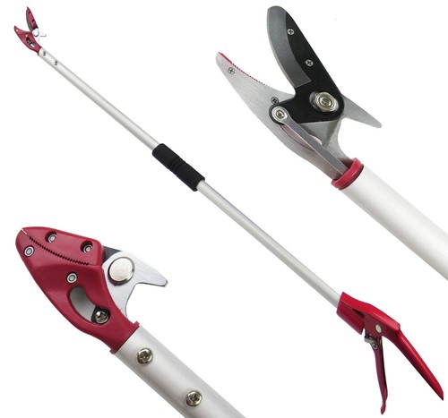 Mesoga 4FT Long Reach Pruner and Fruit 4 Feet Cut hold pruner, Silver - 第 1/7 張圖片