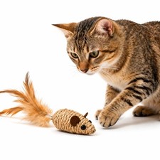 Catnip Mouse Toy with Feathers Interactive Cat Toy Sisal Chew Toy