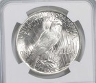 1923 Peace Silver Dollar 100th Anniv 2021 Special Label BU MS Unc NGC *3307 — photo 4