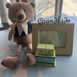 Tooth Fairy Bear. Count down to being a gramma and grandkids picture frame.